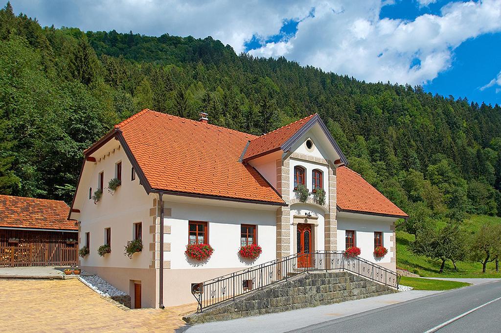 Farm Stay Bukovje Ljubno Экстерьер фото