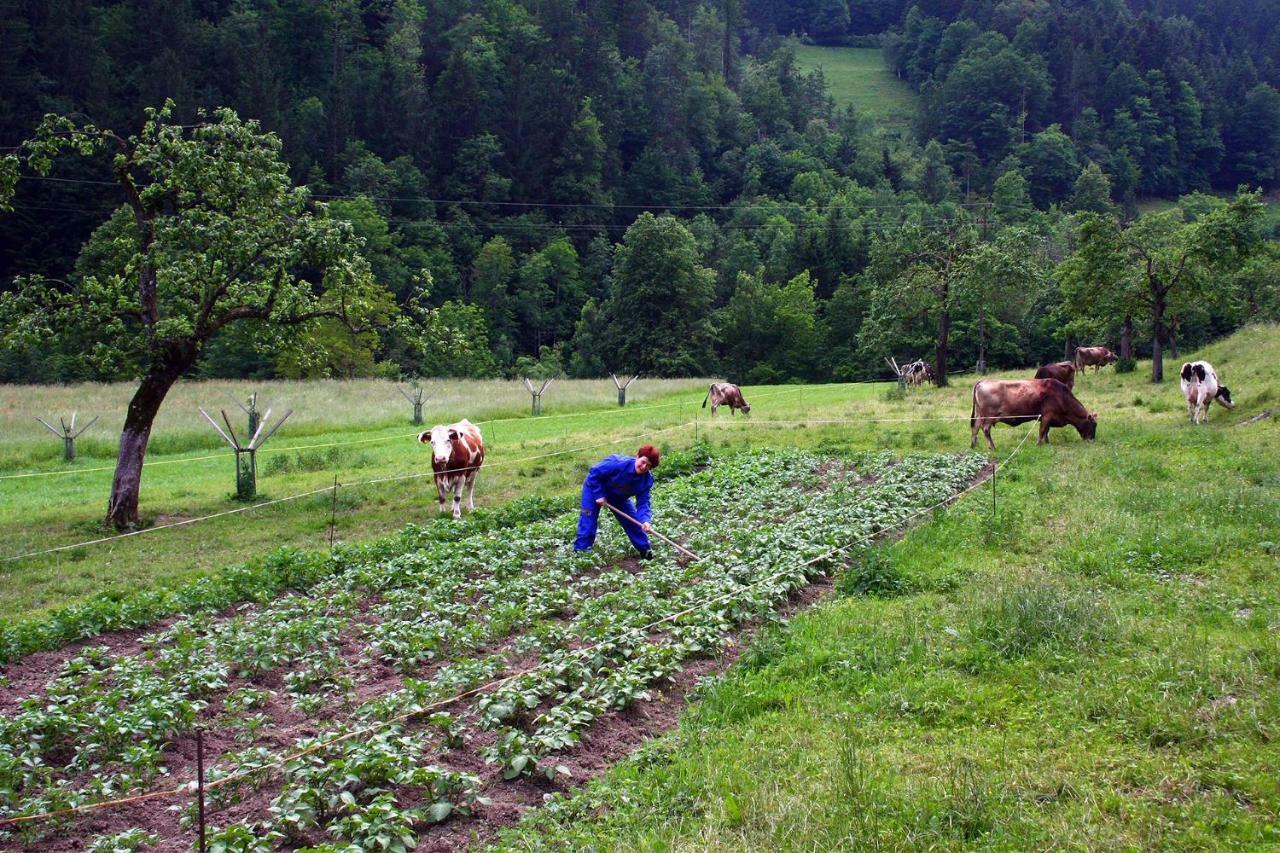 Farm Stay Bukovje Ljubno Экстерьер фото